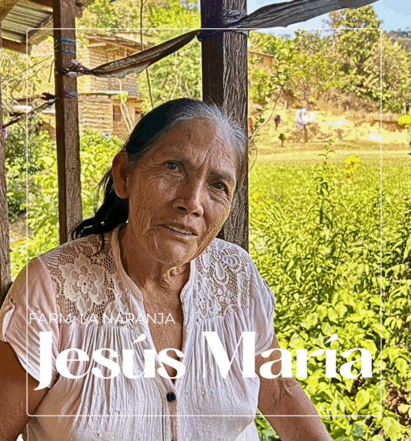 Peru Jesus - Afbeelding 2