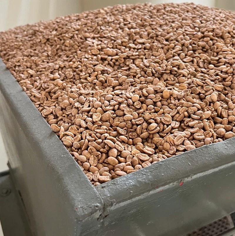 Colombia Decaf Natural - Afbeelding 3