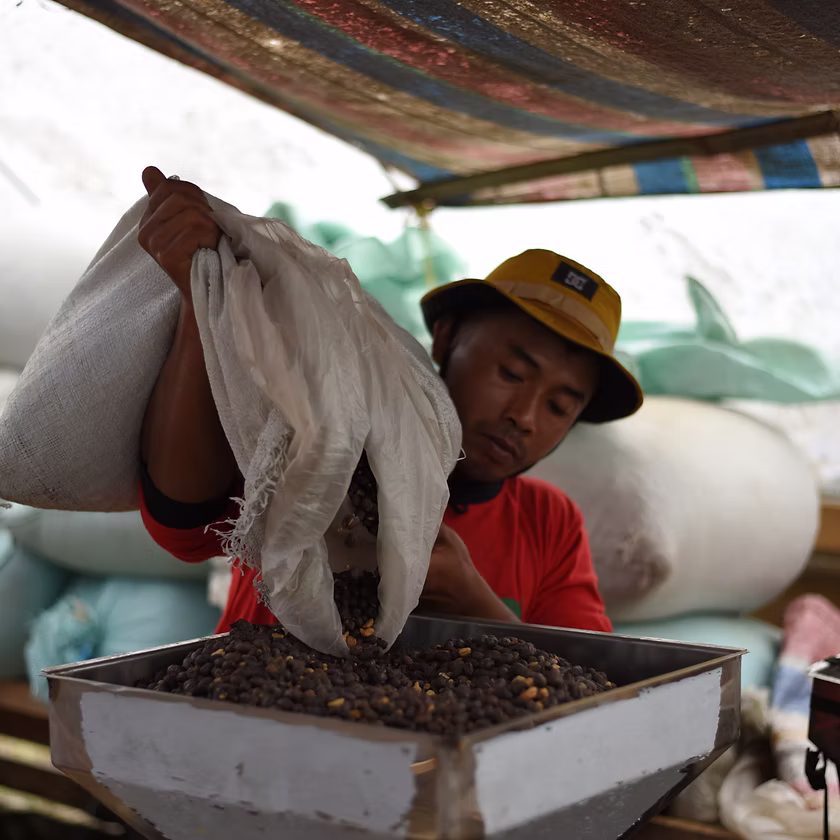 Indonesia Rukun Saudara - Afbeelding 2