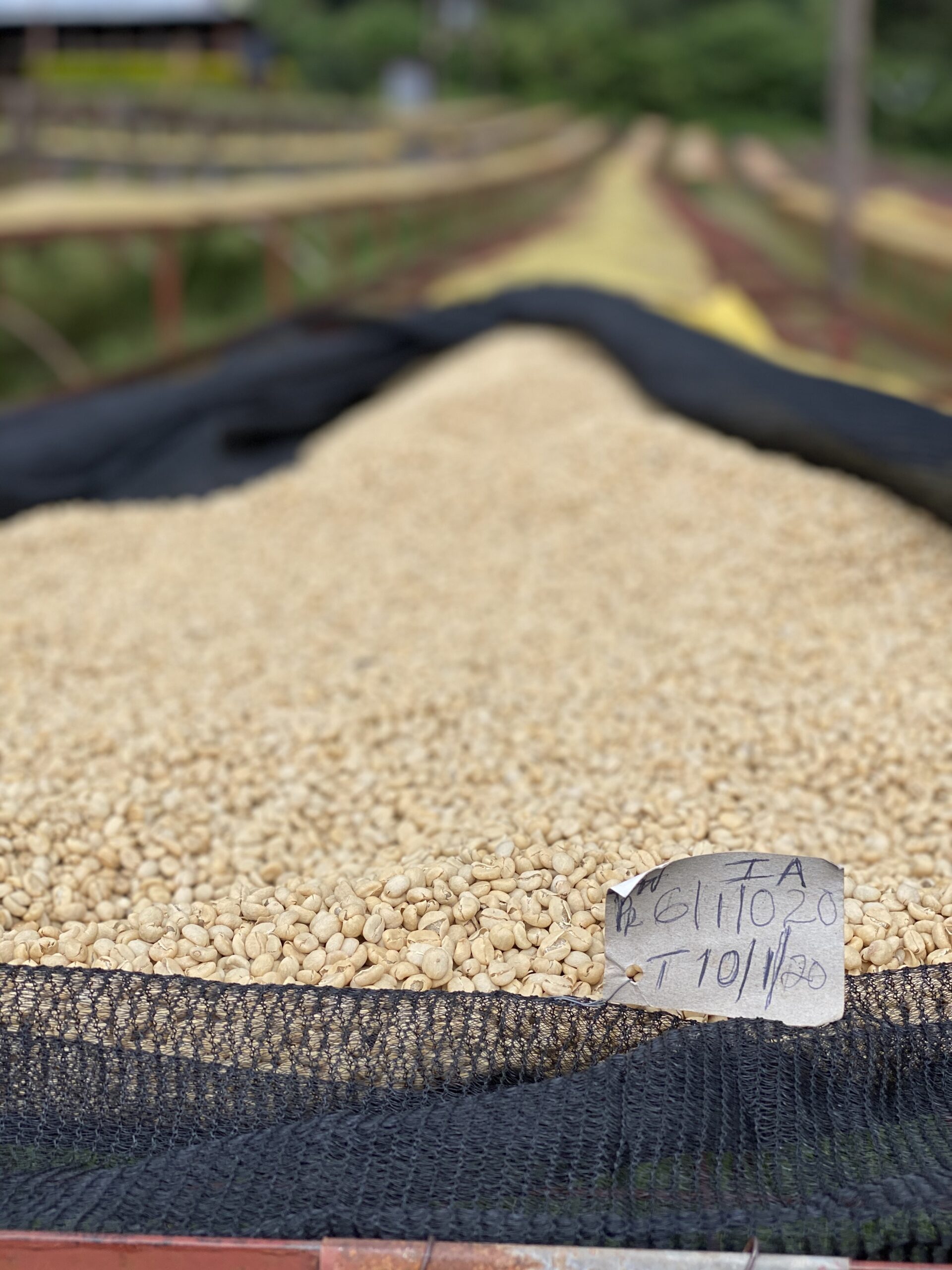 Kenya Thunguri - Afbeelding 4