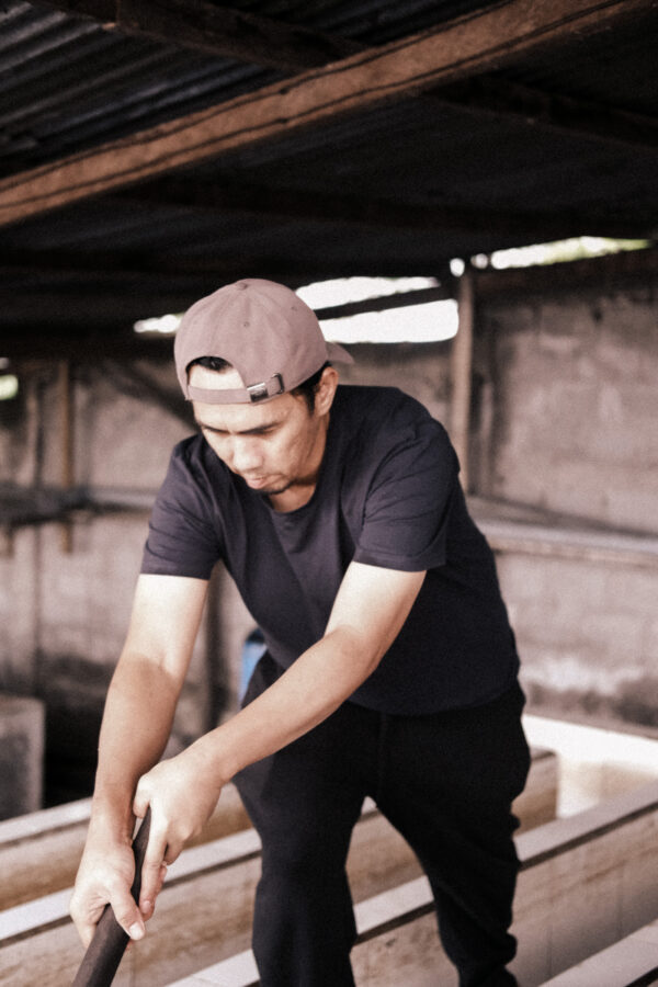 Photo of Indonesia Pegasing Anaerobic Natural